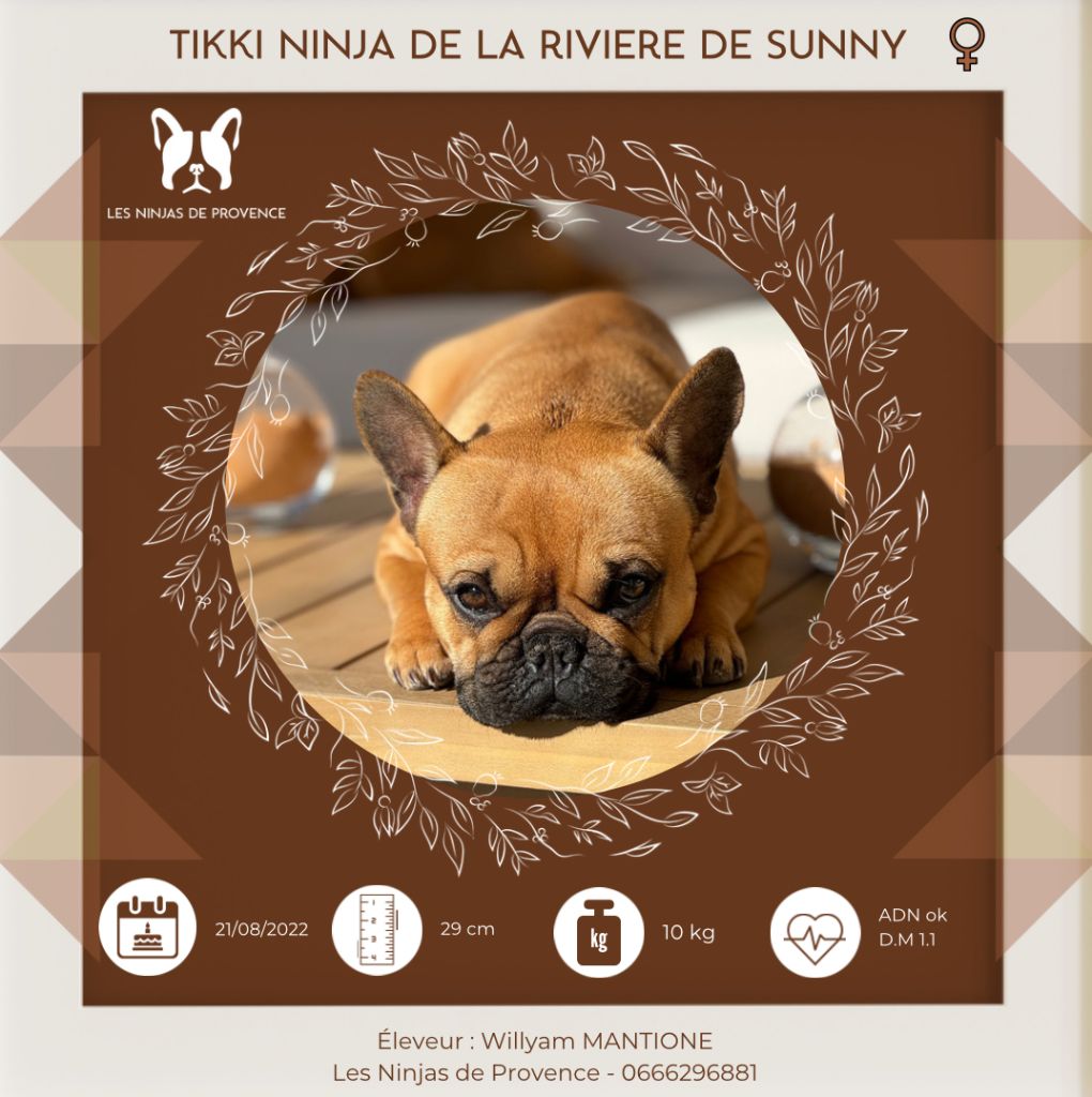 Tikki ninja (produit par la rivière de sunny) (Sans Affixe)