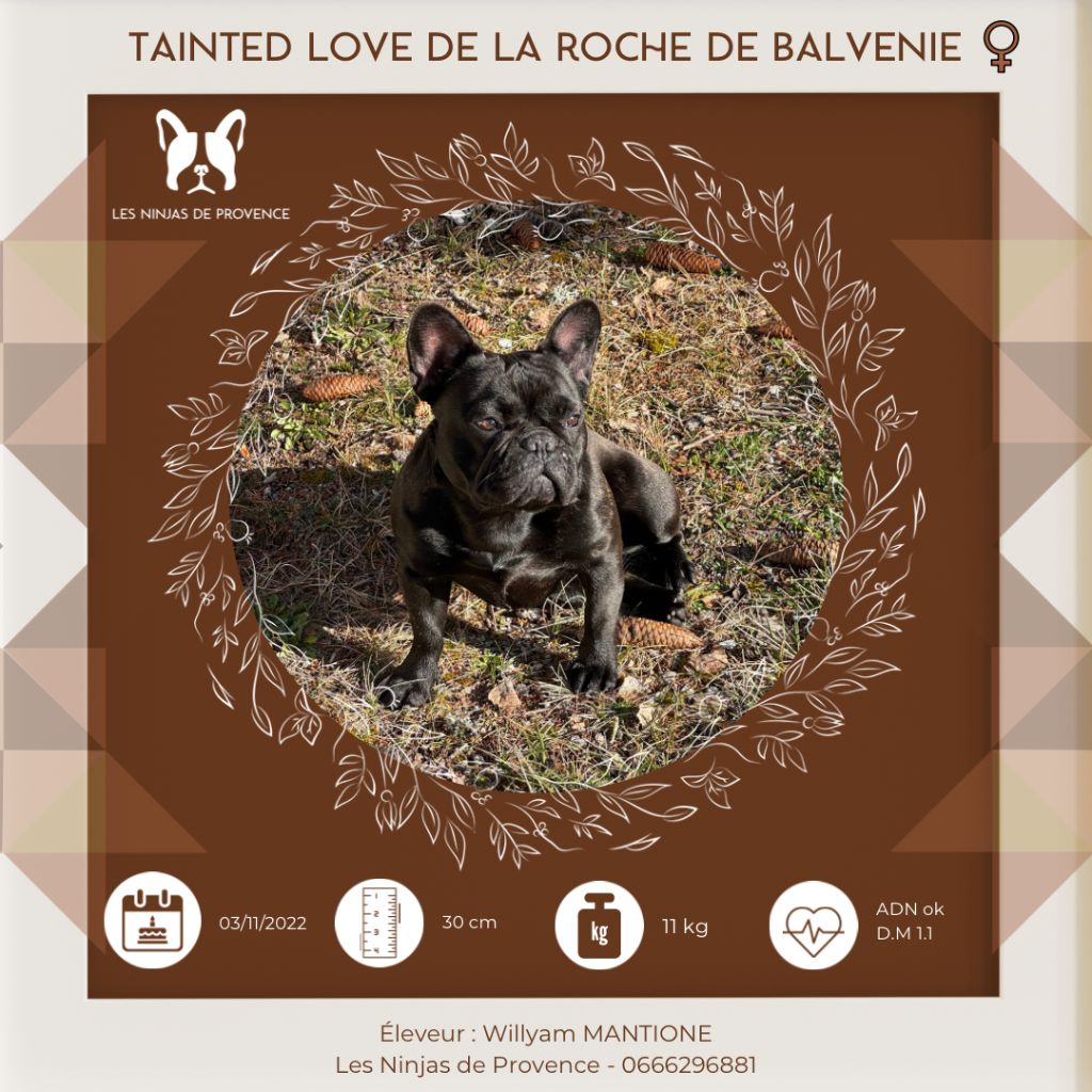 Tainted love De La Roche De Balvenie