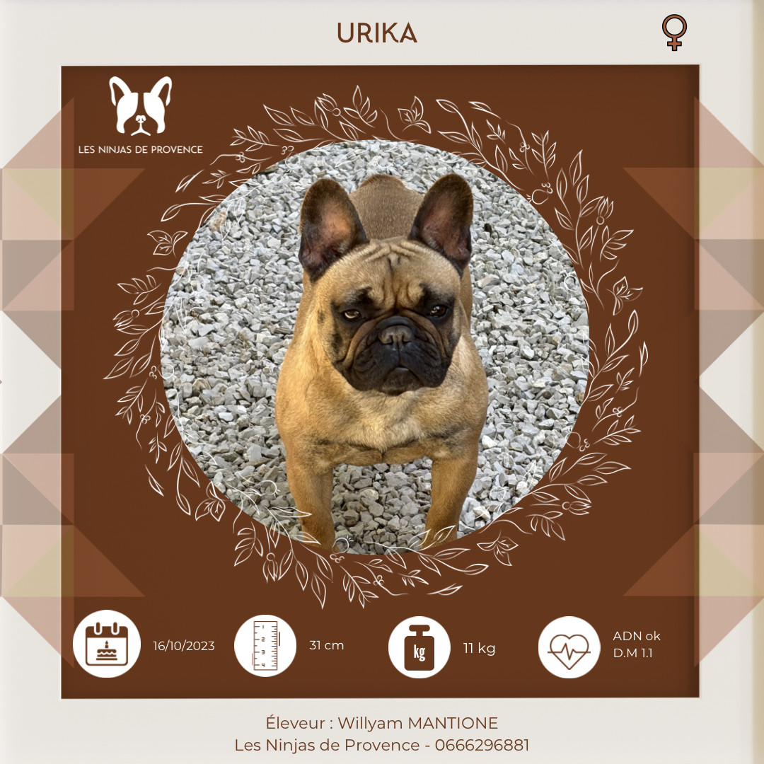 Urika Les Joyaux de la Vallee