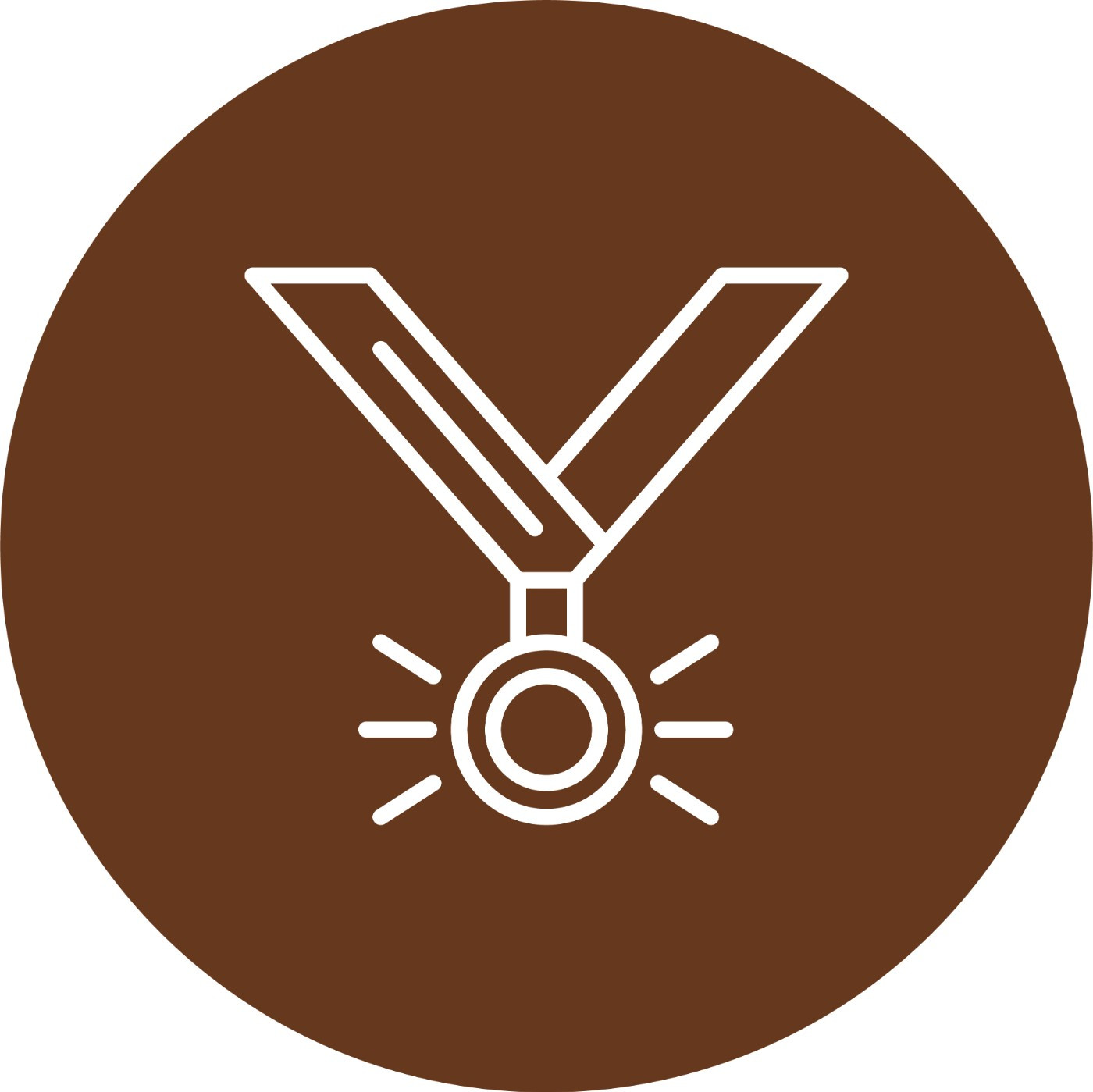 Pluie de prix en 2025 pour les ninjas !